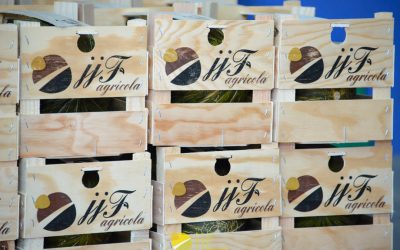 Agricola JJF start the 2018 campaign